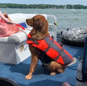 Meet your Posher, Debi